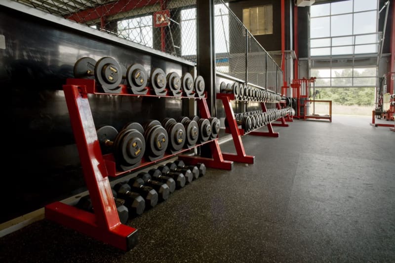 A gym with many different types of dumbbells.